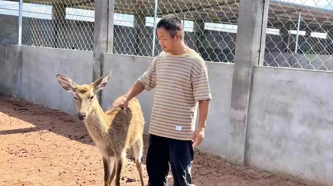 mg官方账号阿拉德
